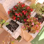 فندق مبيت وإفطار Be