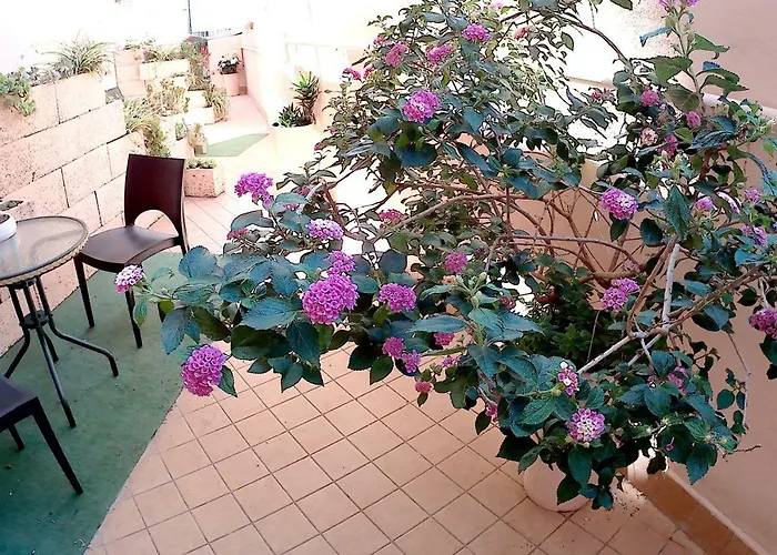 存在住宿加早餐旅馆 4*