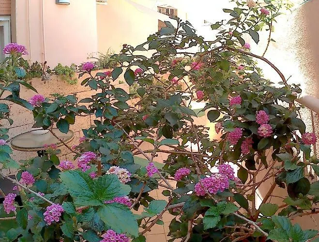 Be Отель типа 