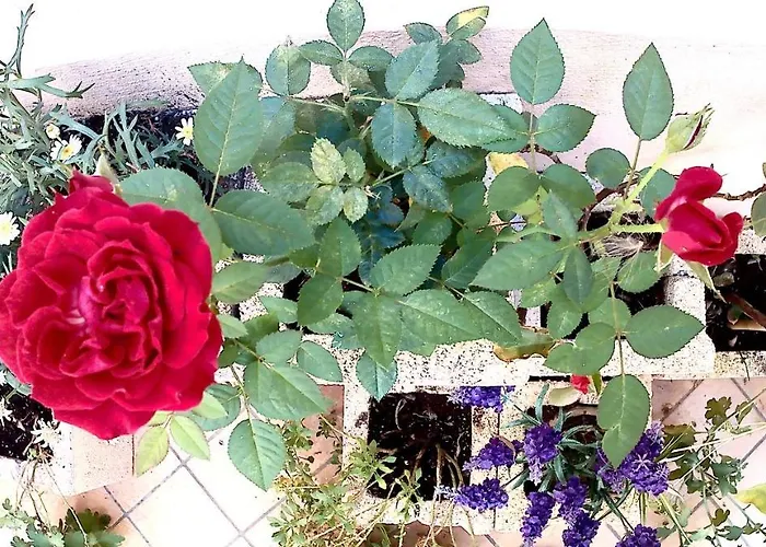 Be Отель типа 